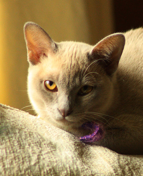 George