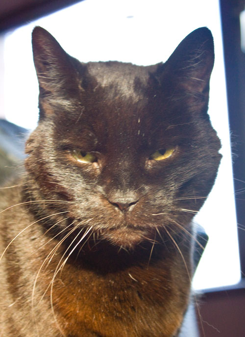 Salem